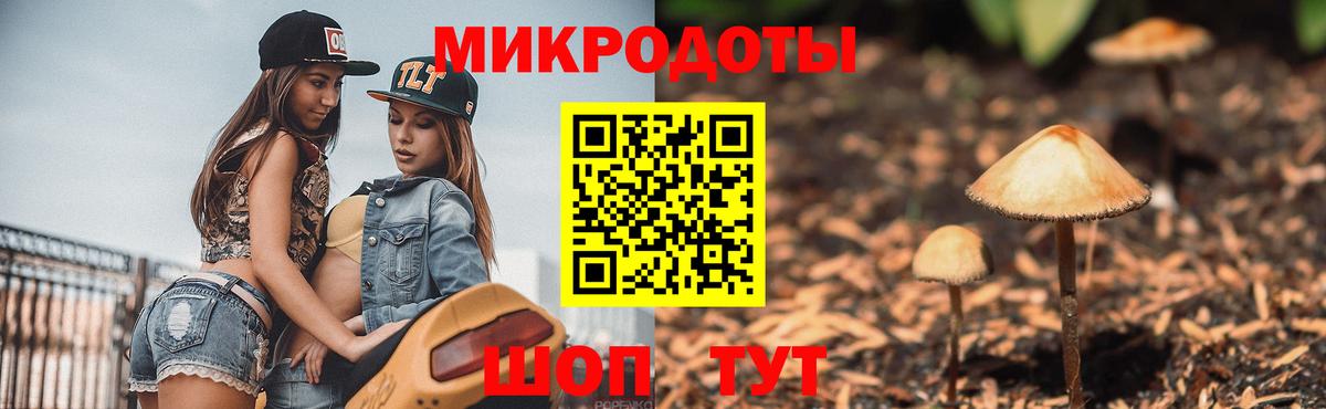 Псилоцибиновые грибы Cubensis Нурлат